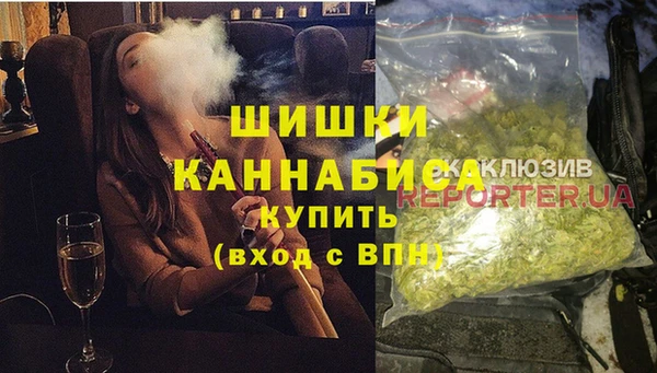 PSILOCYBIN Белокуриха